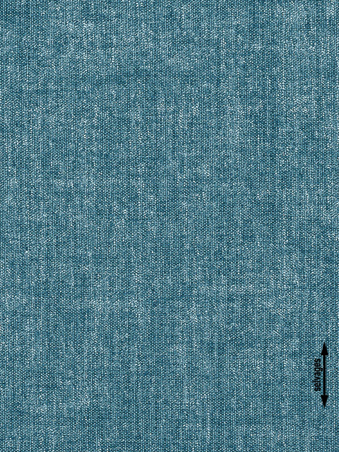 /filemanager/Agiovlasitis/koala (19).jpg